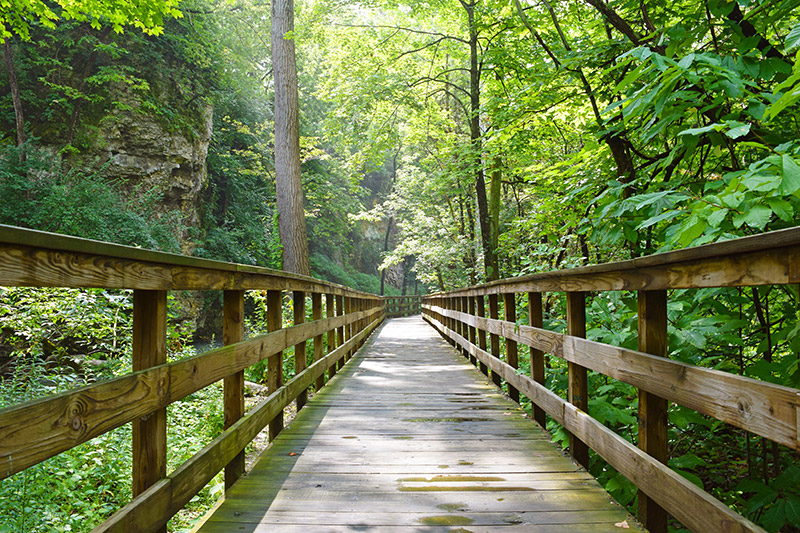 Walking path through the woods in Dublin Ohio